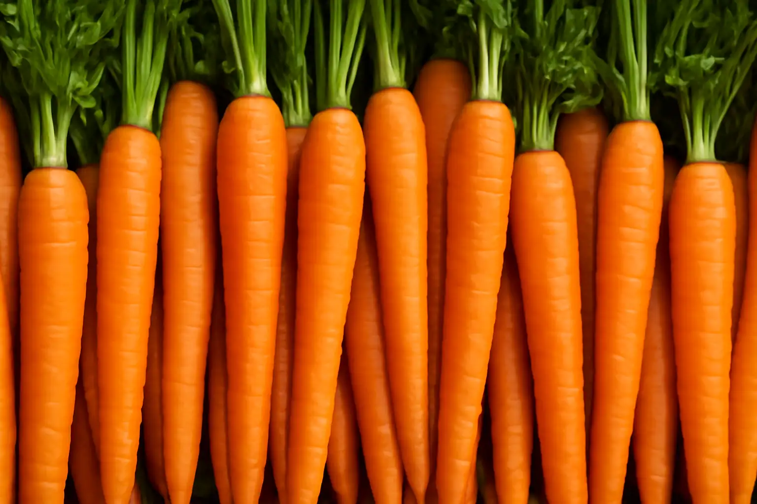 Los beneficios del jugo de zanahoria y cómo prepararlo El mejor momento del dia para tomar jugo de zanahoria es